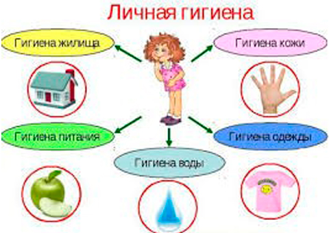 Здоровый образ жизни - Городская поликлиника № 51 Канавинского района г. Нижнего Новгорода