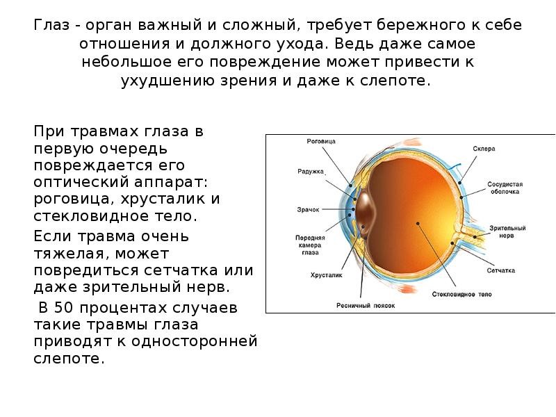 Глаза важны. Травмы глаза презентация. Глаз как орган. Глаза самый важный орган.